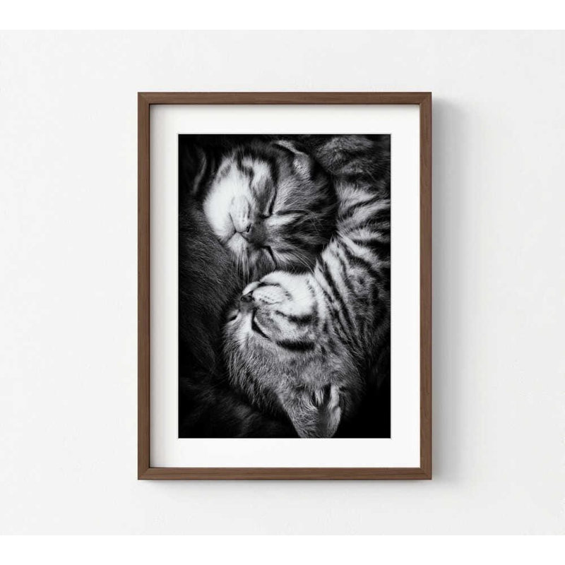 Art mural chat: Yin et Yang noir et blanc - encadré ou non, H 12 po x l 16 po, Reproduction encadrée avec passe-partout, Brun