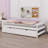 Platform Bed With Trundle