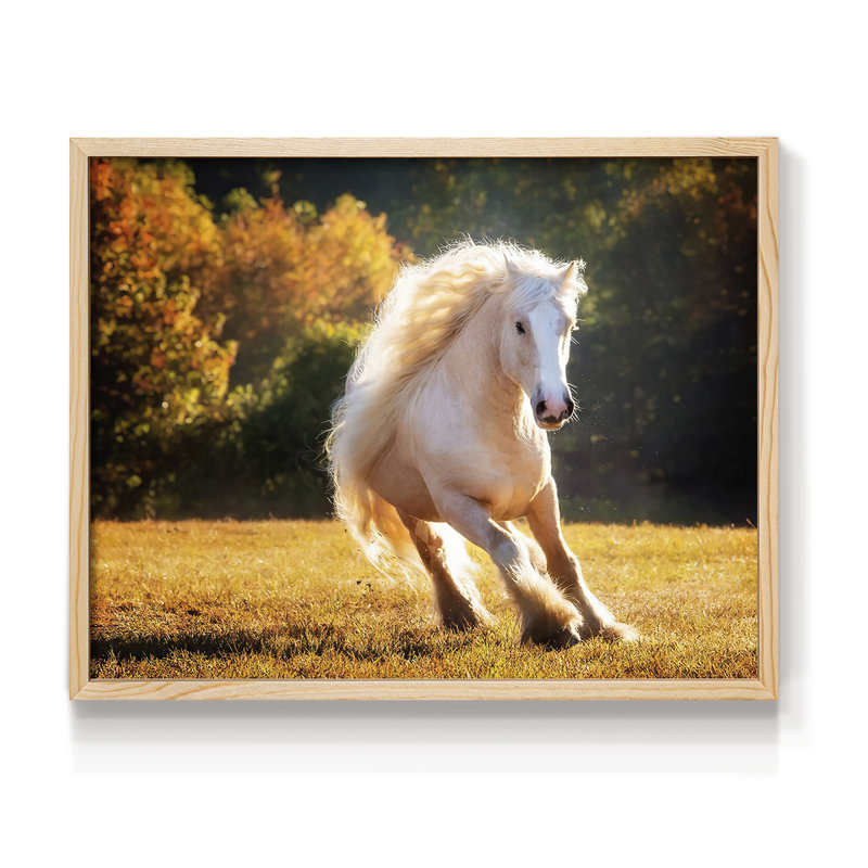 Horse Motion IV -Framed Print - Restickable, H 8 po x l 10 po, Naturel