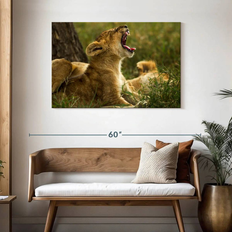 Crowle Sleepy Lion Cub, H 30 po x l 45 po