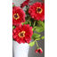 Real Touch Red Zinnia 24,5 po-287966960