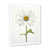 Cadre photo blanc