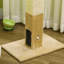 Latonya Scratching Post-1325038035