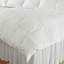 Goose All Season Down Comforter-1561903182