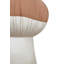 Cushion Boletus