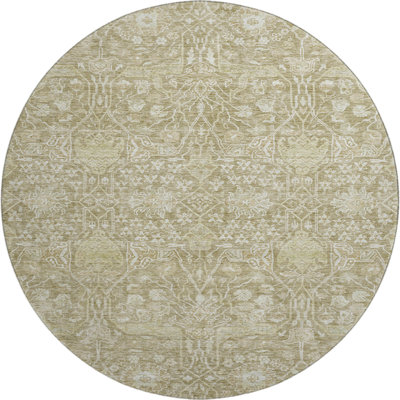 Premium Machine Washable Hammond AMF1133 Global Rug