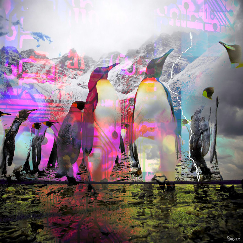 Parvez Taj - Wrapped Canvas Print, 81cm H x 81cm W