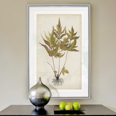 " Fern Botanical II "