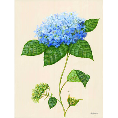 Hydrangée bleue - impression sur toile tendue