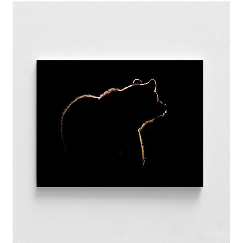Reproduction d'affiche de photographie d'ours, remodelage de salle de conférence d'ours brun, œuvre d'art de salle de réunion, impression d'affiche murale de grand chef de la direction