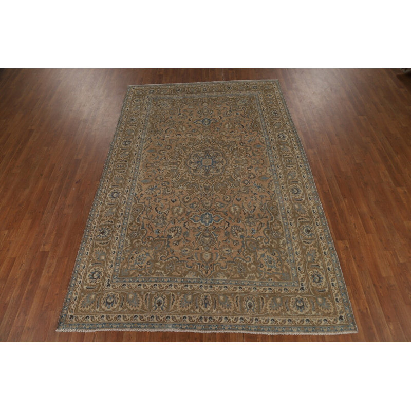 Traditional Area Rug 6x9
