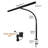 Jashan Metal Desk Lamp