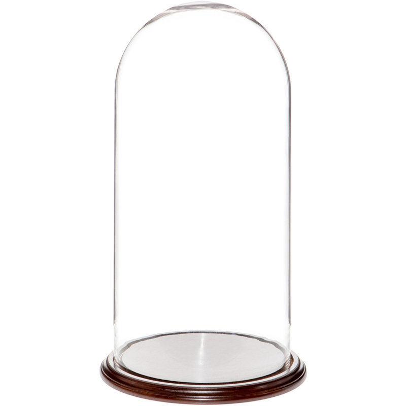Vucciria Glass Display Dome Cloche, Dark Mahogany Veneer Base, 23" H x 11.75" W x 11.75" D