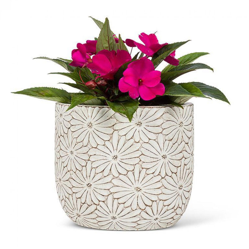 Round Daisy Planter