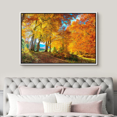 Automne, automne, jaune, arbre, forêt, nature, paysage, automne, images encadrées sur toile