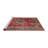 Oriental Indoor Rug-1368758927
