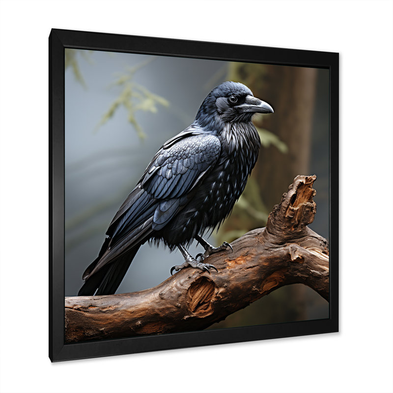 Mysterious Raven Guardian II - Art mural animal corbeau, Cadre simple noir, H 30 po x l 30 po x P 1,5 po