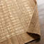 Jaipur Living Vitani SOS04 Handwoven Border Tan Area Rug (12'X15')-1414844278