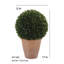 12" Artificial Boxwood Plant in Round Pot-553209785