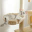 Arbre à chat avec grand perchoir supérieur, hamac moelleux, tablettes pour chat et pompon suspendu, poteaux à griffer pour chat et 2 maisonnettes-2050615478