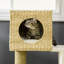 Arbre à chat tissé en forme de quenouille pour la tour de chats d'intérieur avec condo et lit
