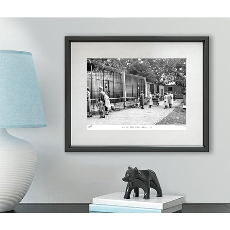 Maidstone, Zoo Park C1955 by Francis Frith - Single Picture Frame Print, 40cm H x 50cm W x 2.3cm D