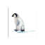 Pingouin polaire par Watercolor Luv - reproduction d'art-52939332-52939333-52939334
