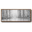 Aspen Reflection - toile encadrée-110588936