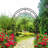 Climbing plants support the Arch