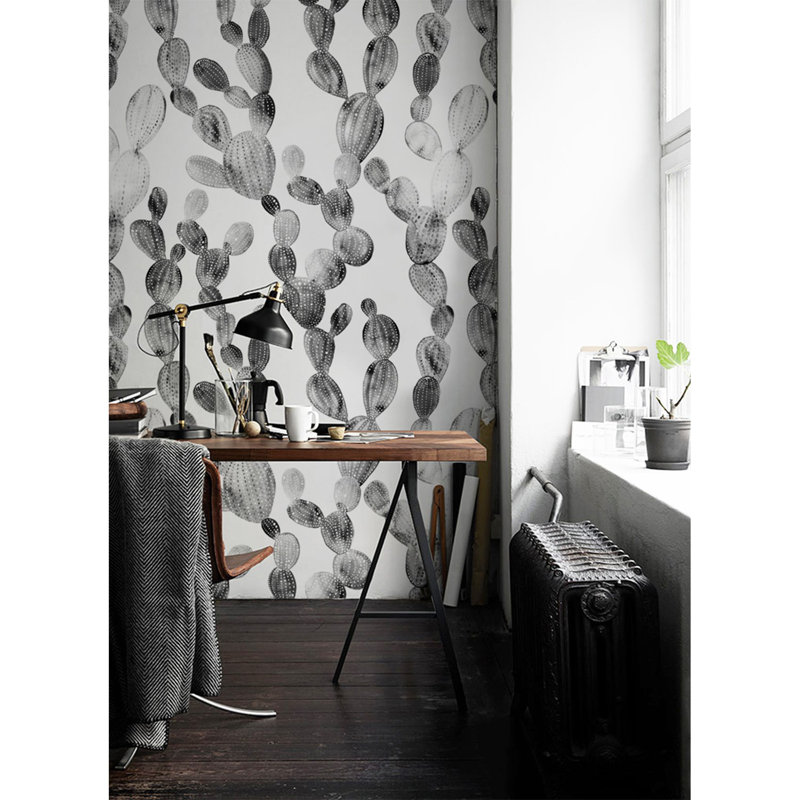 Falaise 2.5m x 2.5m Matte Wallpaper Roll, 250 x 250cm