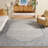 Brentwood Performance Oriental Rug-343485311