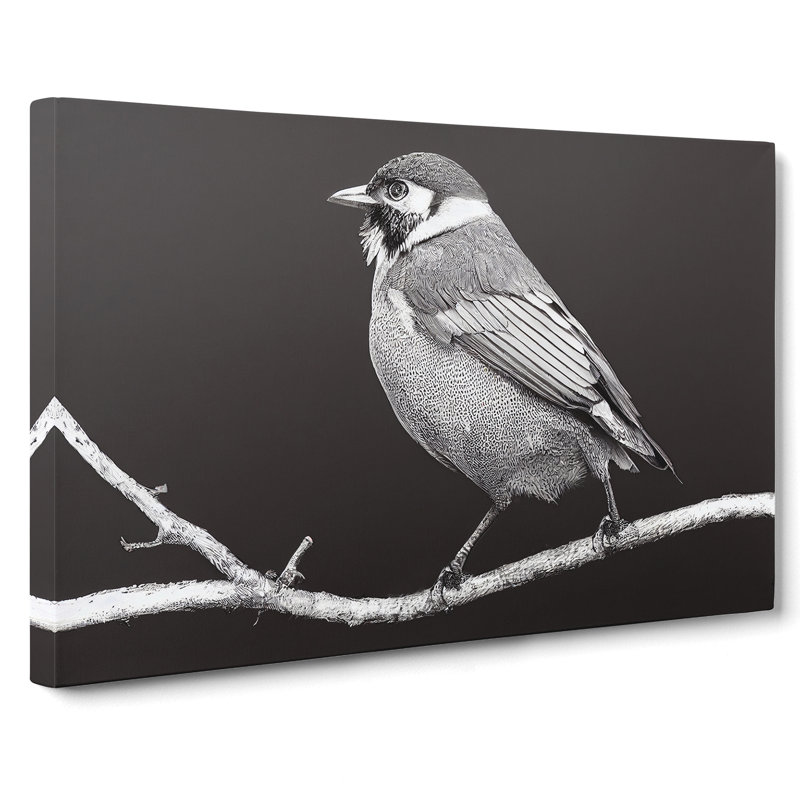 Attractive Bird - Wrapped Canvas Painting, 35cm H x 50cm W x 3cm D