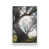 White n'est pas disponible