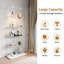 Display Case-128768447