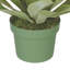 Plante grasse artificielle en pot-1152137815