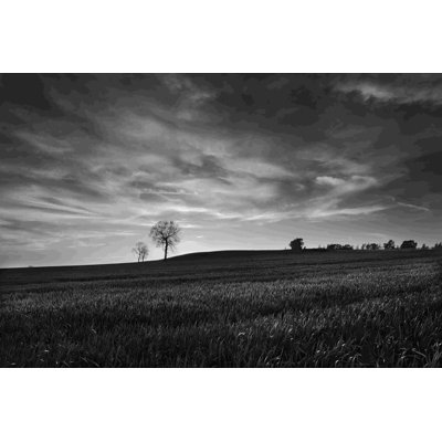 Coucher de soleil noir et blanc