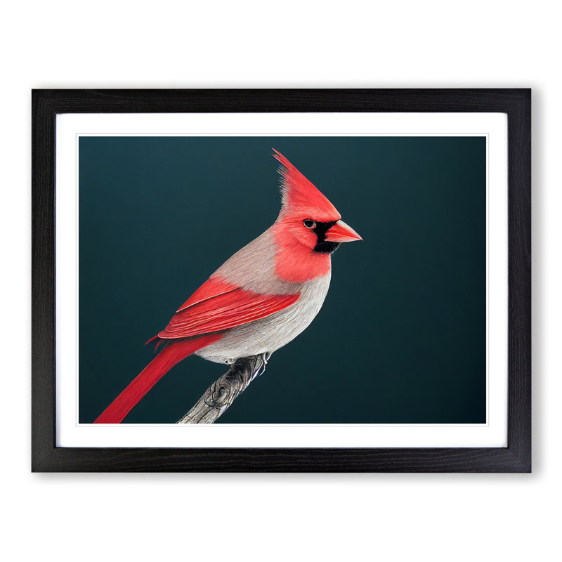 Cardinal Bird Vol.1 - Single Picture Frame Print, Black Framed, 46cm H x 64cm W x 2cm D
