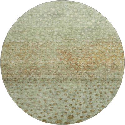 Premium Machine Washable Christina AMF1074 Circles Rug