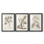 Antique sépia botanicals I - impression encadrée sur mesure de qualité supérieure - 3 pièces-810536289-810536290