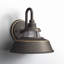Troyer 1-Light Outdoor Wall Lantern-1995108941-1945962912