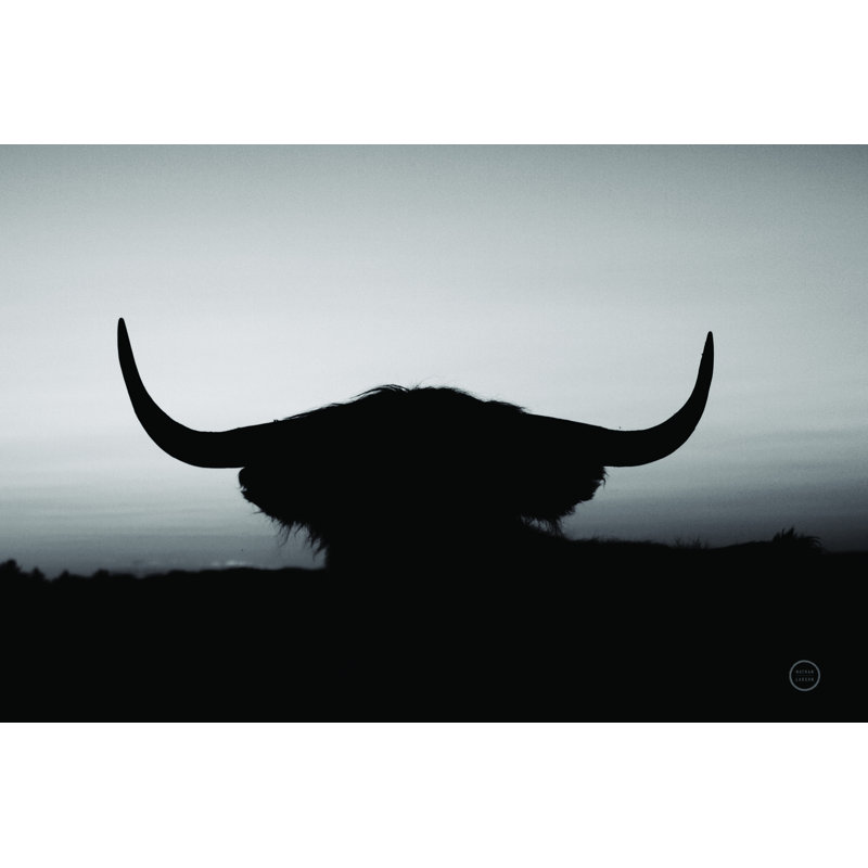" Bull Set BW Crop " by Nathan Larson, 8" H x 12" W