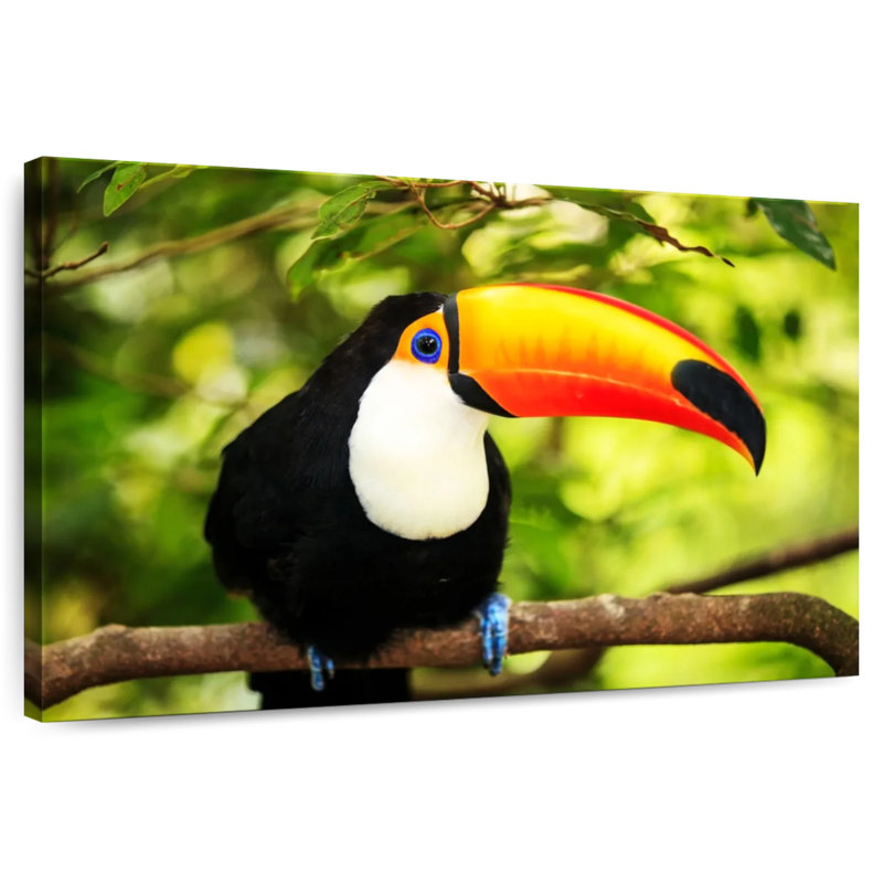 Brampt Toco Toucan, 8" H x 12" W