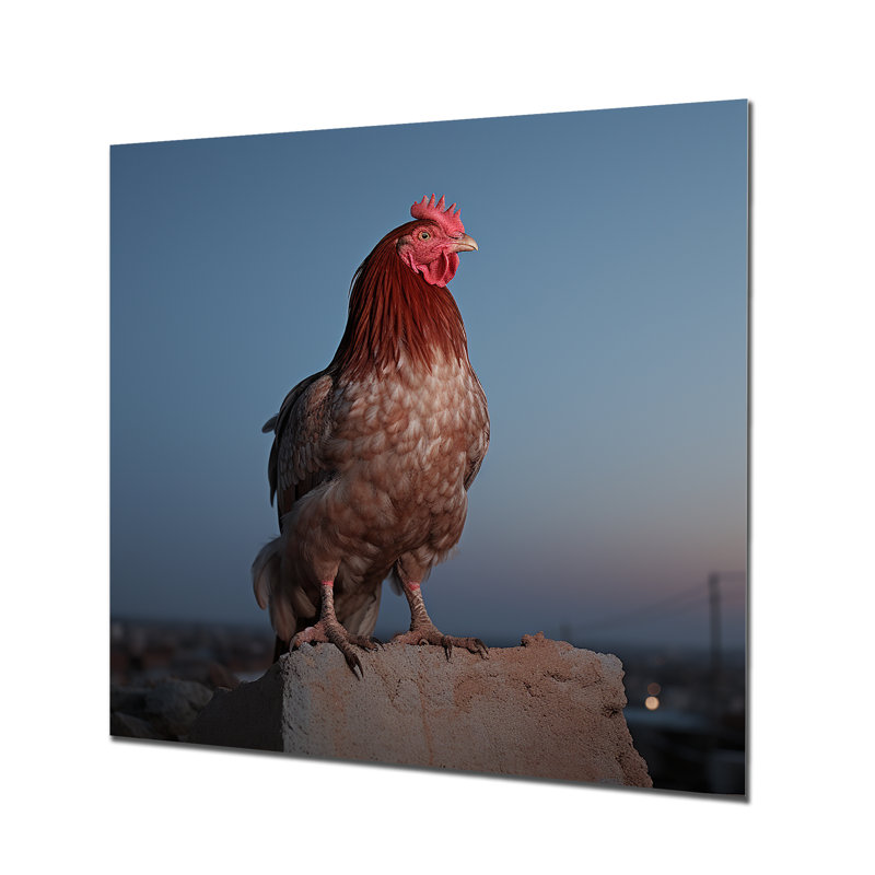Cock A Doodle Dusk Rooster - Chicken Animal Metal Wall Art, 16" H x 16" W