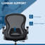 Inbox Zero Koeplin Mesh Drafting Chair-605479876