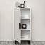 Rosauro MDF Bathroom Cabinet