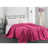 Fuchsia est en rupture de stock
