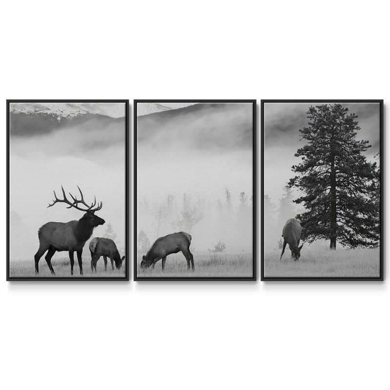 Élan de montagne 3 pièces, Noir, H 24 po x l 48 po x P 2 po