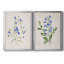«Blue Botanical I», ensemble de 2 reproductions d'art-2026522010-2026522008-2026522022