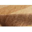 Deprato One-of-a-Kind 6'6" X 10'3" New Age Wool Area Rug in Tan