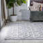 Tapis intérieur / extérieur gris clair Raeshelle-579347279